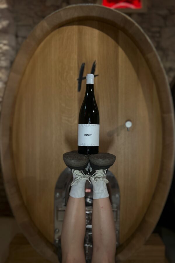 Veltlín SUD | Vinařství Halkoci | Veltlín Na Druhou