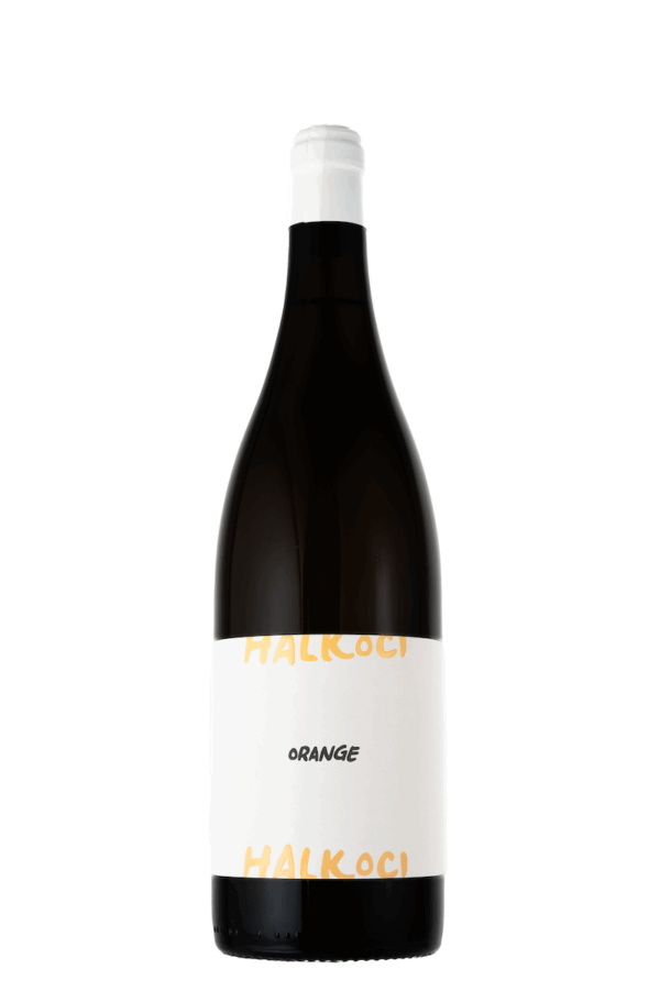 Orange | Tramín červený | Halkoci