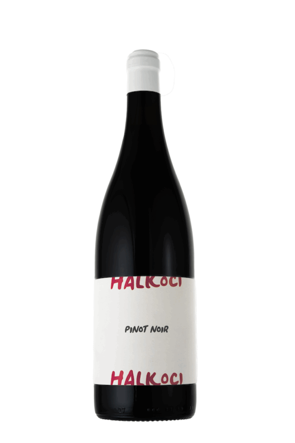 červené | Halkoci | pinot noir | 2022