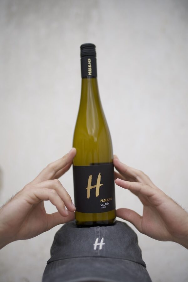 Velltín TYPIK | 2024