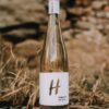 Předehra | Suchý Hibernal | Halkoci