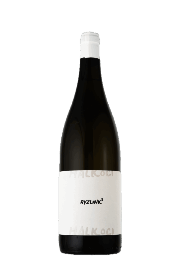 ryzlink rýnský na druhou 2023 sud