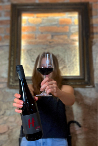 RED, červené víno, Pinot noir, Zweigeltrebe